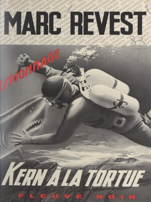 cover image of Kern à la tortue